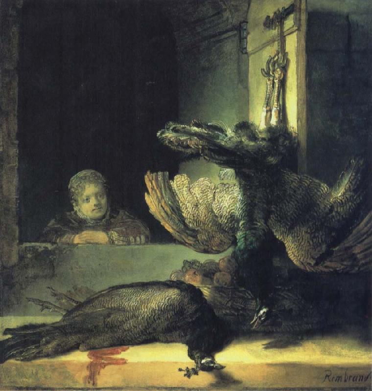 REMBRANDT Harmenszoon van Rijn Girl with Dead Peacocks oil painting image